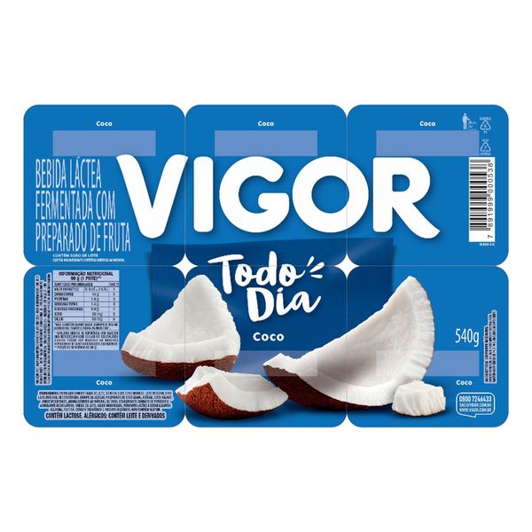 Bebida Láctea Fermentada Coco Vigor Todo Dia Bandeja 540g 6 Unidades