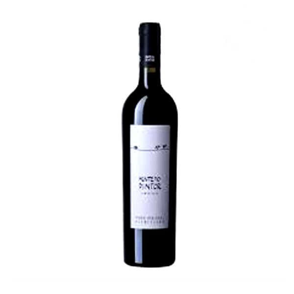 Vinho MONTE Pintor Tn 750ml