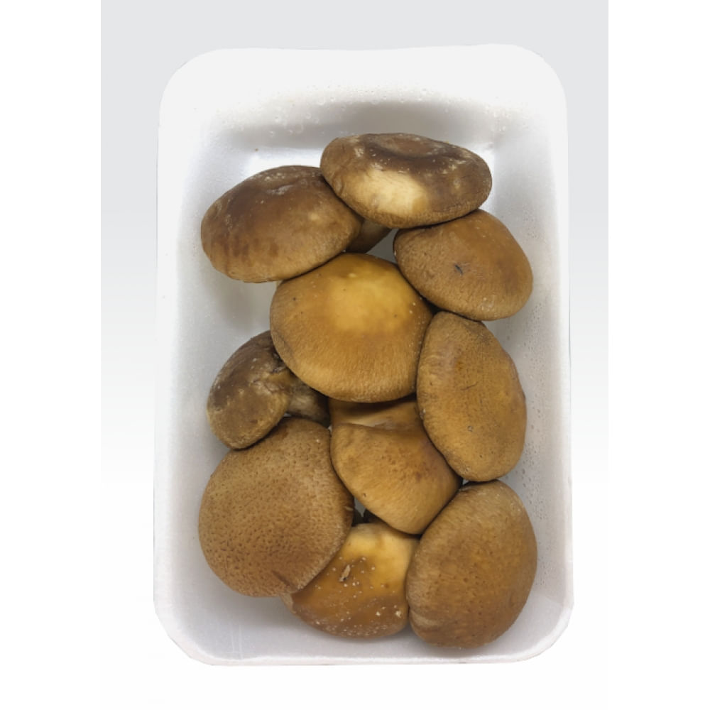 Cogumelo Shitake Orgânico Bandeja - Terra Frutas Orgânicas