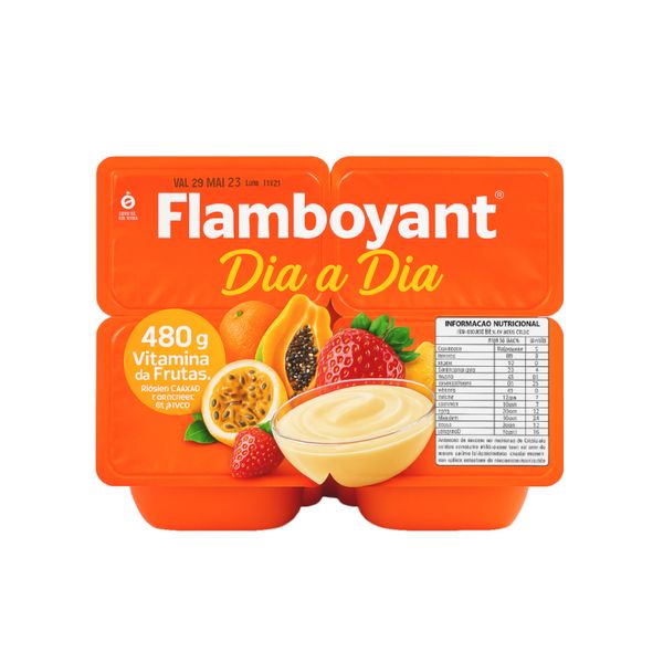 Iogurte Dia a Dia FLAMBOYANT Vitamina de Frutas 480g