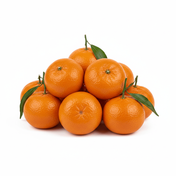 7007-1767392791077.png 7007-1767392791077.png