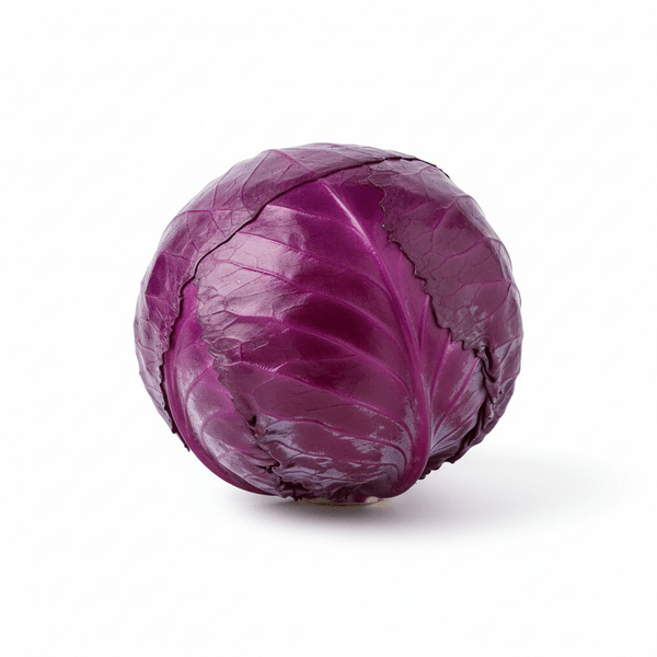 7019-1767392815575.png 7019-1767392815575.png