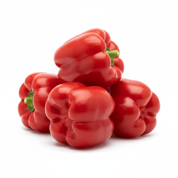 42874-1767392830017.png 42874-1767392830017.png