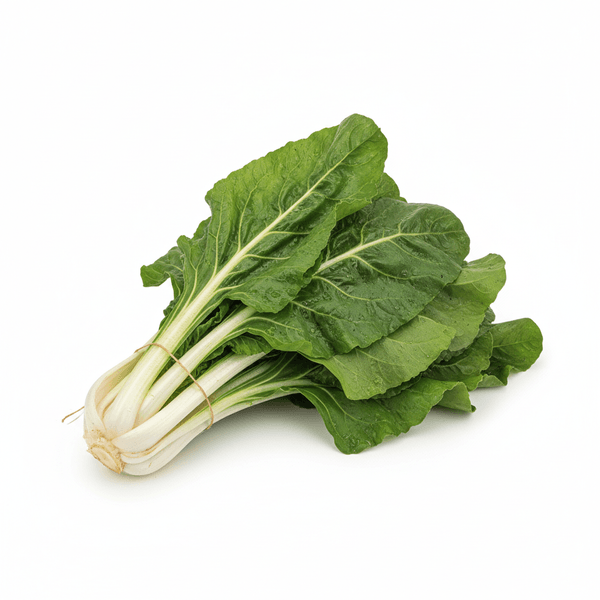 42866-1767392836786.png 42866-1767392836786.png