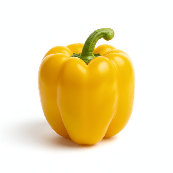 42875-1767634827968.png 42875-1767634827968.png