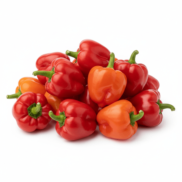 42867-1767392850590.png 42867-1767392850590.png