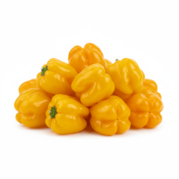 7015-1767392857077.png 7015-1767392857077.png