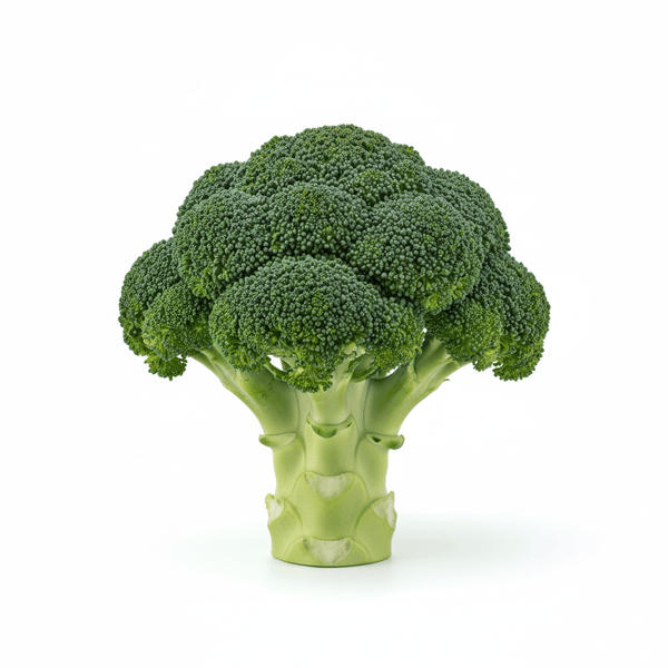 42889-1767634852518.png 42889-1767634852518.png