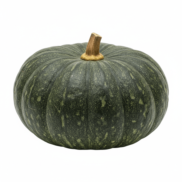 7033-1767392872177.png 7033-1767392872177.png