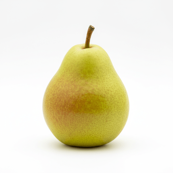 7013-1767392895435.png 7013-1767392895435.png