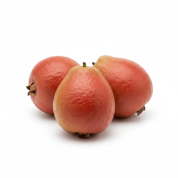 7025-1767392958446.png 7025-1767392958446.png