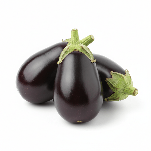 7028-1767393118011.png 7028-1767393118011.png