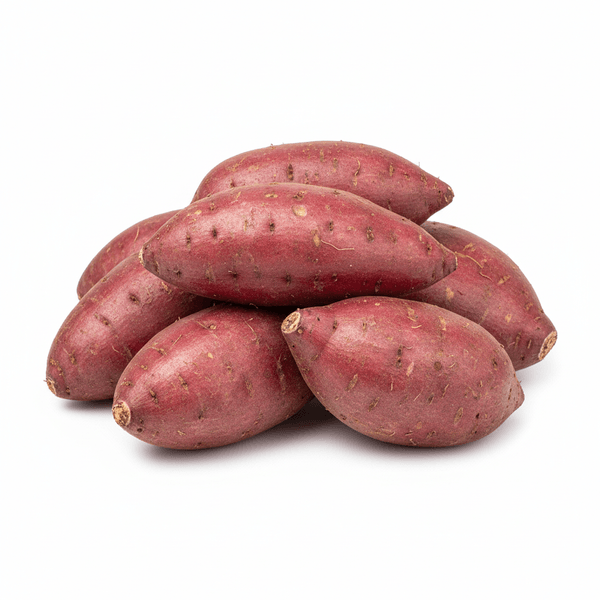 6998-1767393140673.png 6998-1767393140673.png