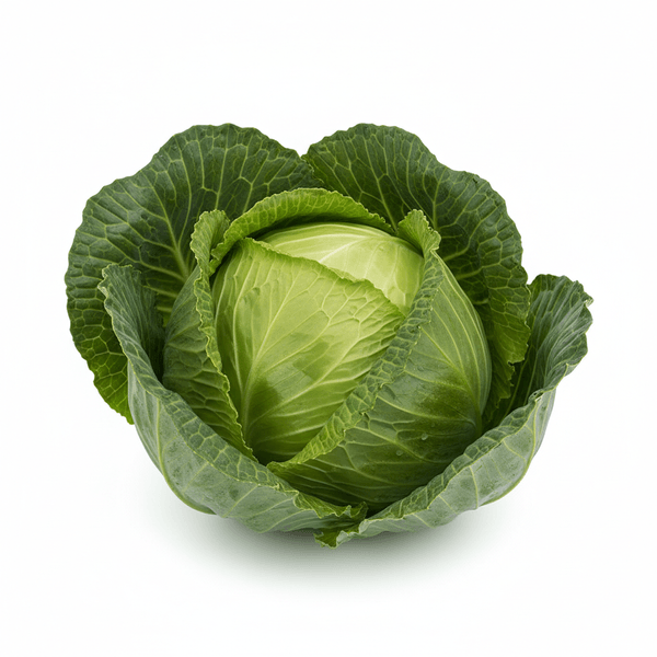 7003-1767393164789.png 7003-1767393164789.png