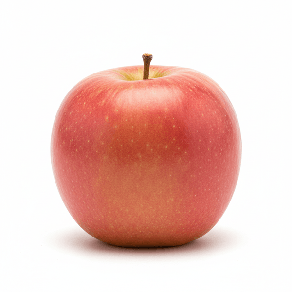 7040-1767635100504.png 7040-1767635100504.png