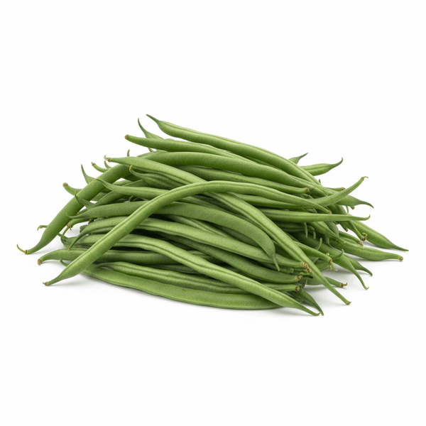 42902-1767635192807.png 42902-1767635192807.png