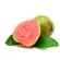 1266.webp