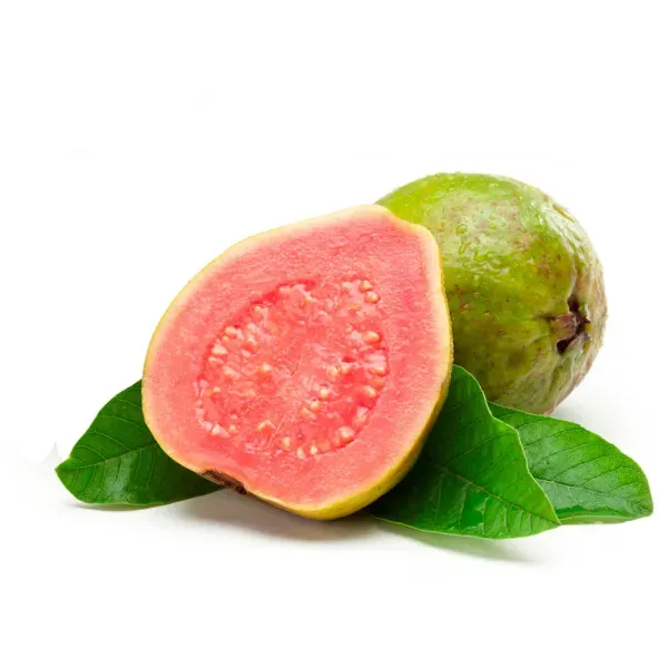1266.webp